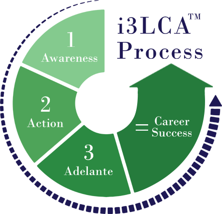 LCA Process